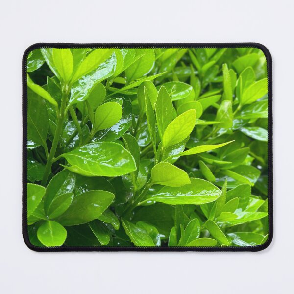 Item preview, Rainy day green leaves designed and sold by sajin-jip.