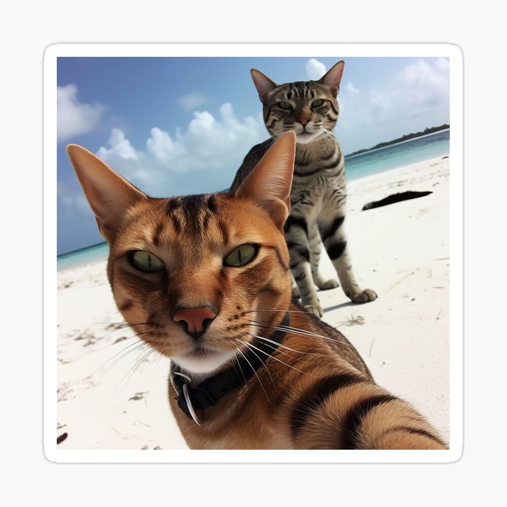  Selfie Kitty Cat Wearing Basketball Jersey Pullover