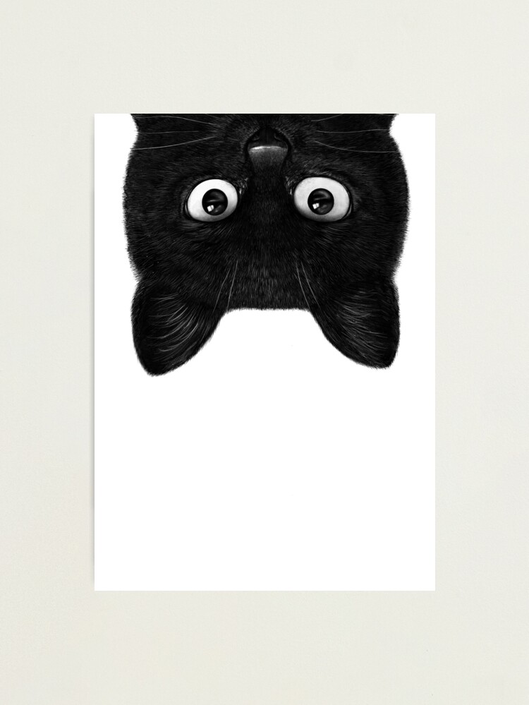 Black cat III Photographic Print for Sale by Valeriya Korenkova  Kodamorkovkart