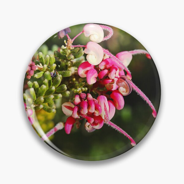 Item preview, Long Flowering Australian Grevillea designed and sold by Joy Watson - Natural Light Photography .