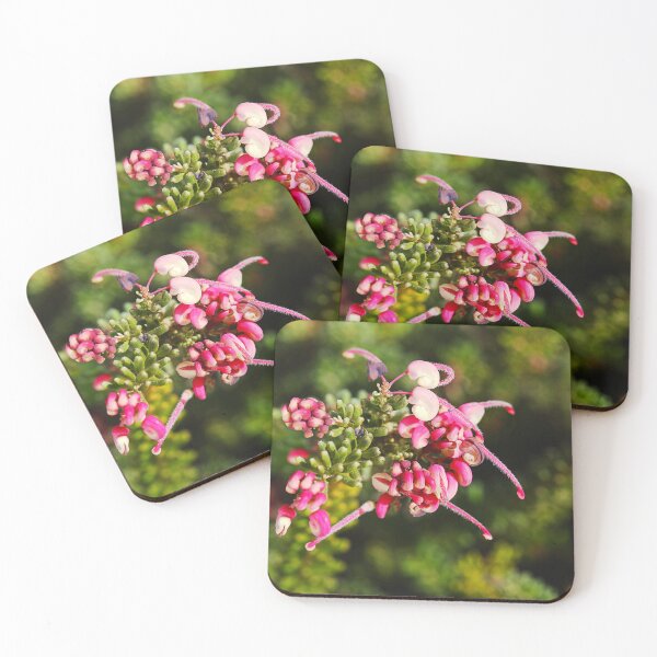 Item preview, Long Flowering Australian Grevillea designed and sold by Joy Watson - Natural Light Photography .