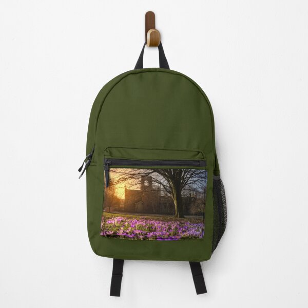 Item preview, Kirkstall Abbey Crocuses designed and sold by Alisonchambers2.
