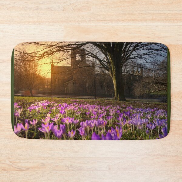 Item preview, Kirkstall Abbey Crocuses designed and sold by Alisonchambers2.