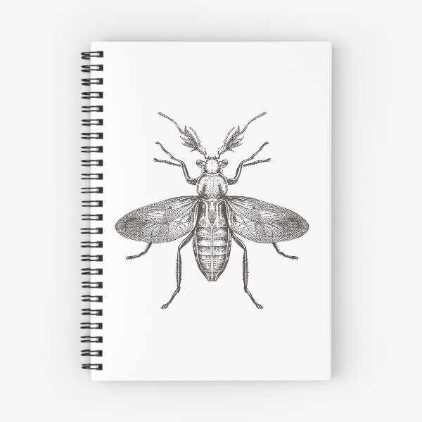 Item preview, flying insects designed and sold by DerSenat.
