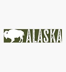 Bison: Alaska Photographic Print