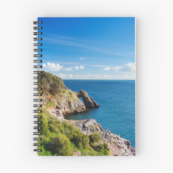 Item preview, London Bridge Devon designed and sold by Alisonchambers2.