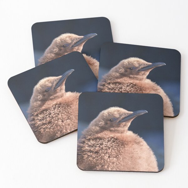 Item preview, King Penguin Chick designed and sold by rawshutterbug.