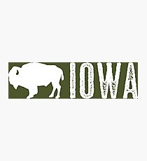 Bison: Iowa Photographic Print