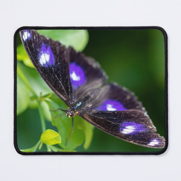 Item preview, Butterfly 8 designed and sold by Jacquiamber.
