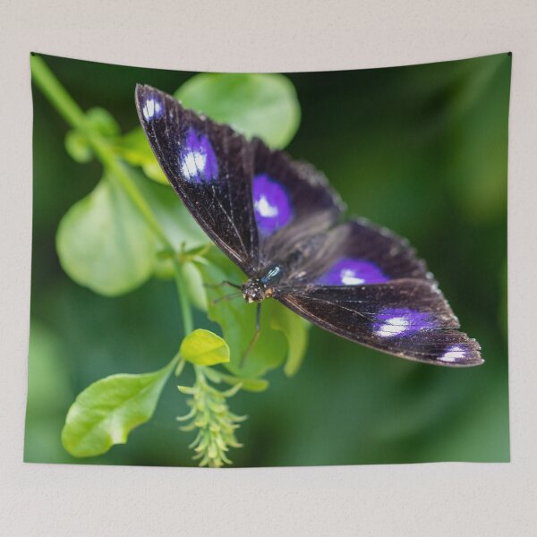 Item preview, Butterfly 8 designed and sold by Jacquiamber.