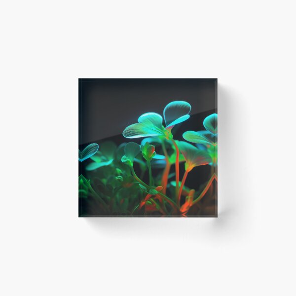 Artikelvorschau, Strahlende Flora entworfen und verkauft von PrintCove.