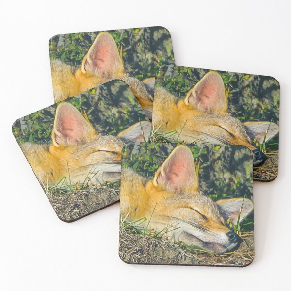 Item preview, Adorable fox sleeping closeup photography designed and sold by DFLC Prints.