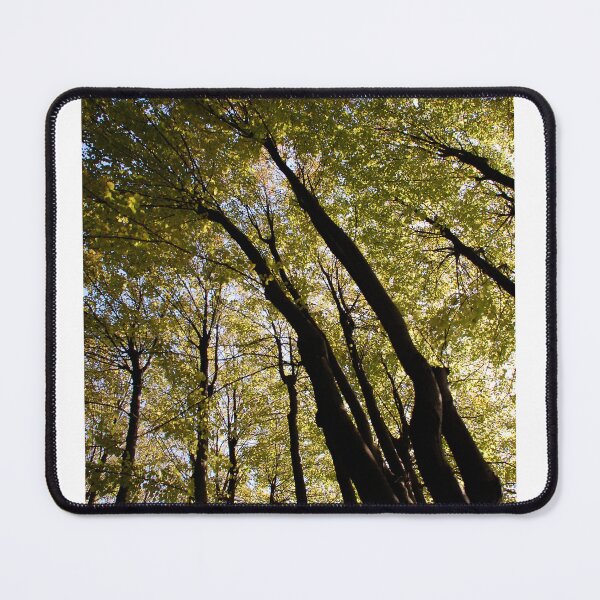 Item preview, Tall designed and sold by BreeFarinaPhoto.