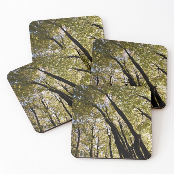 Item preview, Tall designed and sold by BreeFarinaPhoto.