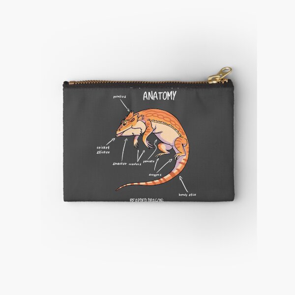 Item preview, bearded dragon anatomy designed and sold by Art by RK (prev. AnimalArtist).