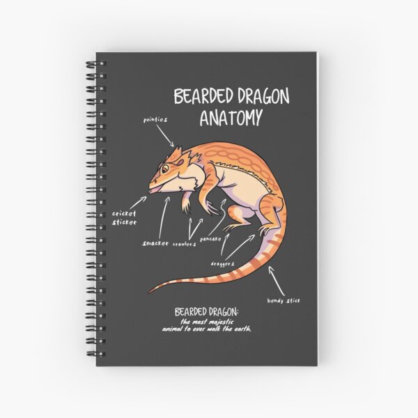 Item preview, bearded dragon anatomy designed and sold by AnimalArtist.