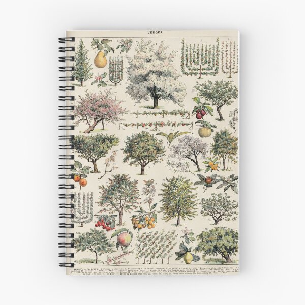 Item preview, Orchard (1932) - Larousse du XXe siècle designed and sold by SALON DES ARTS.