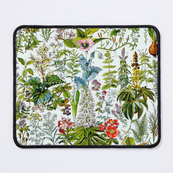 Item preview, Medicinal Plants (1932) - Larousse du XXe siècle designed and sold by SALON DES ARTS.