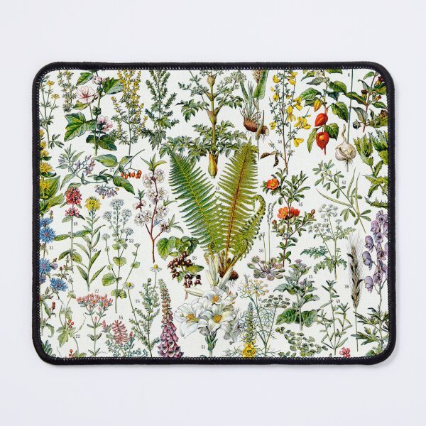 Item preview, Medicinal Plants (1932) - Larousse du XXe siècle designed and sold by SALON DES ARTS.