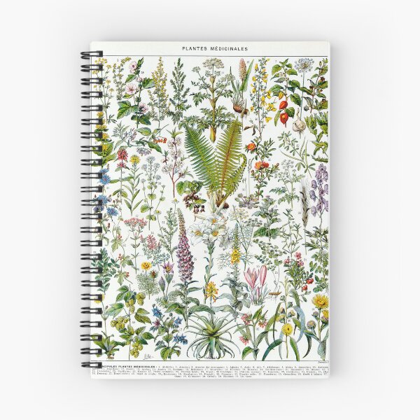 Item preview, Medicinal Plants (1932) - Larousse du XXe siècle designed and sold by SALON DES ARTS.