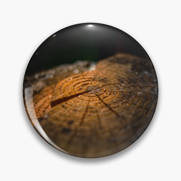 Artikelvorschau, Der gefällte Baum - The felled tree entworfen und verkauft von Ruhrpottpicture.