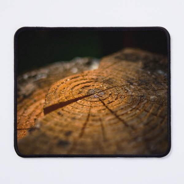 Item preview, The felled tree designed and sold by Ruhrpottpicture.