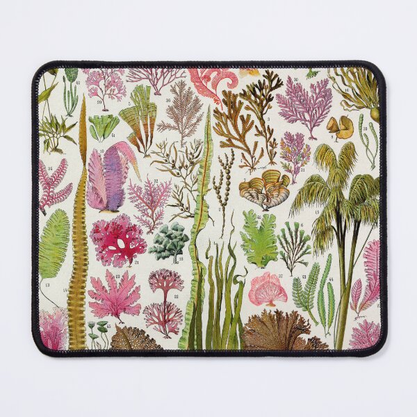Item preview, Algae (1932) - Larousse du XXe siècle designed and sold by SALON DES ARTS.