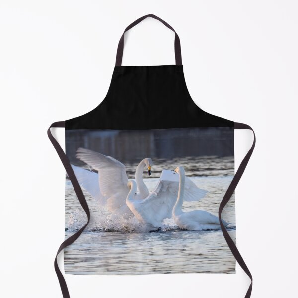 Item preview, Spring heat. Whooper swan designed and sold by Jouko Lehto Photography.