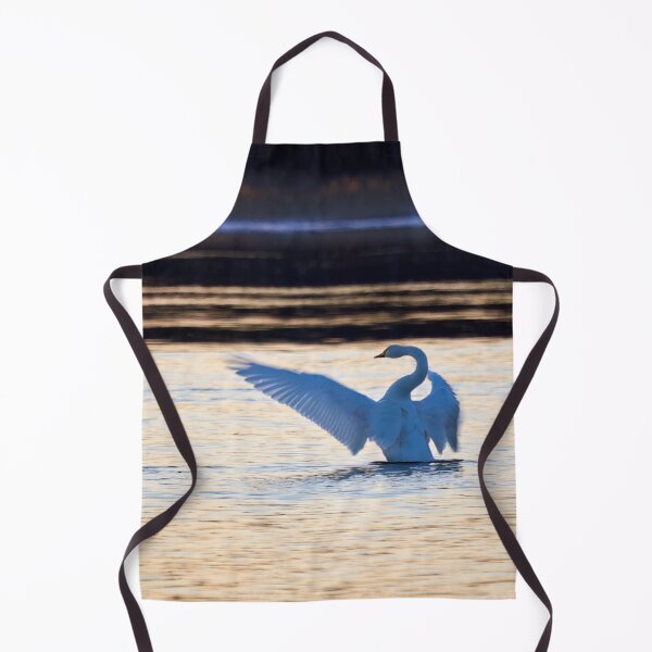 Item preview, Last sunrays. Whooper swan designed and sold by Jouko Lehto Photography.