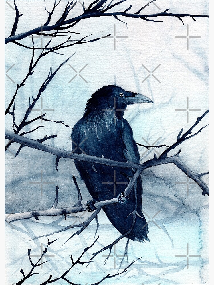 Corbeau Occidental Réaliste Noir Aquarelle