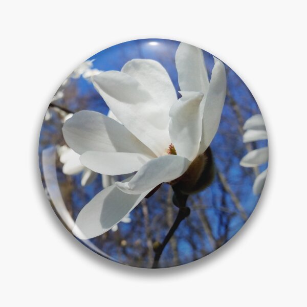 Item preview, Happy spring white magnolias original artwork designed and sold by paragonDesign28.
