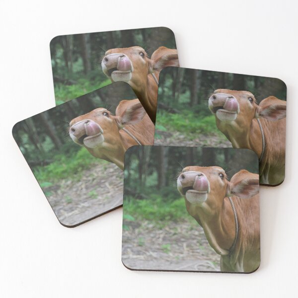 Item preview, Cow cleaning its nose designed and sold by iam01110011.
