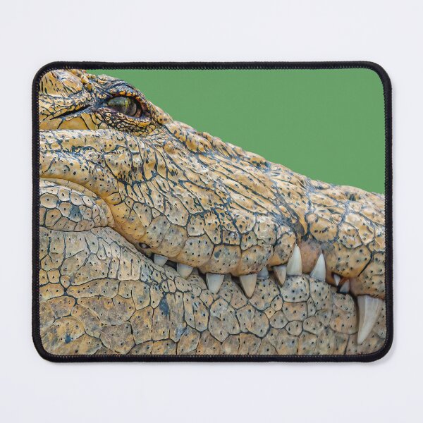 Item preview, Crocodile designed and sold by Dalyndigital Photography.