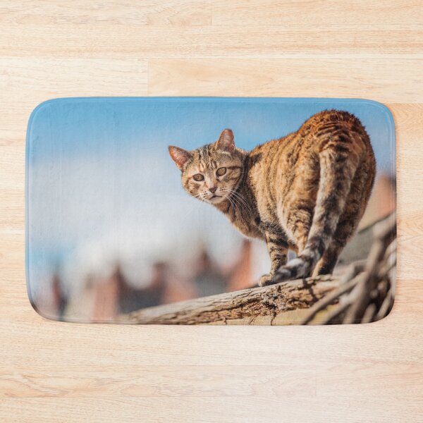 Item preview, Cat, Looking Back designed and sold by Gorma Kuma.