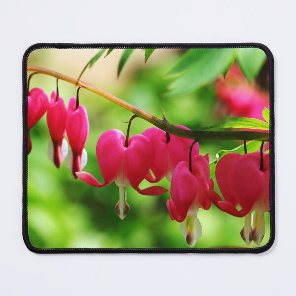 Item preview, Old Fashioned Bleeding Hearts designed and sold by Debbie Oppermann.