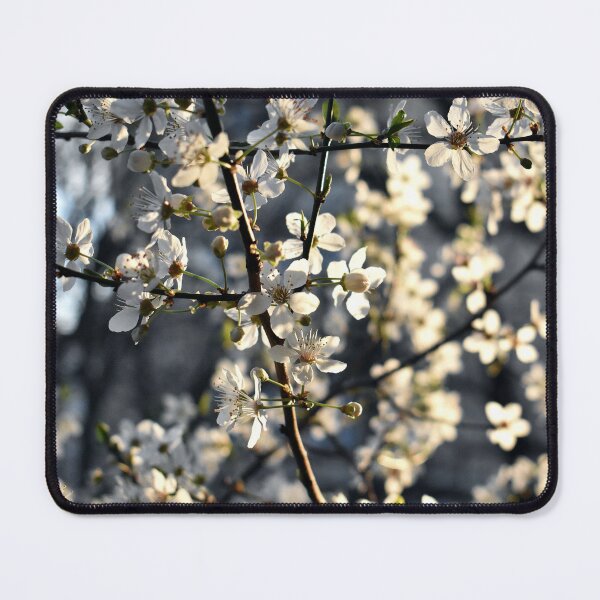 Item preview, White cherry blossom spring theme designed and sold by mariya-ivanova.