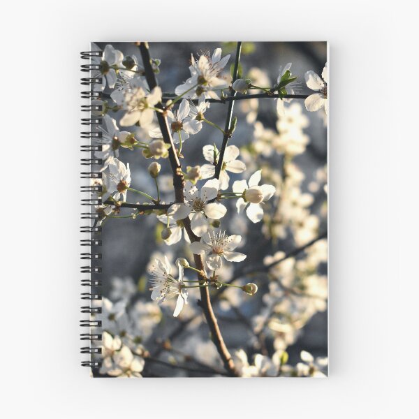 Item preview, White cherry blossom spring theme designed and sold by mariya-ivanova.