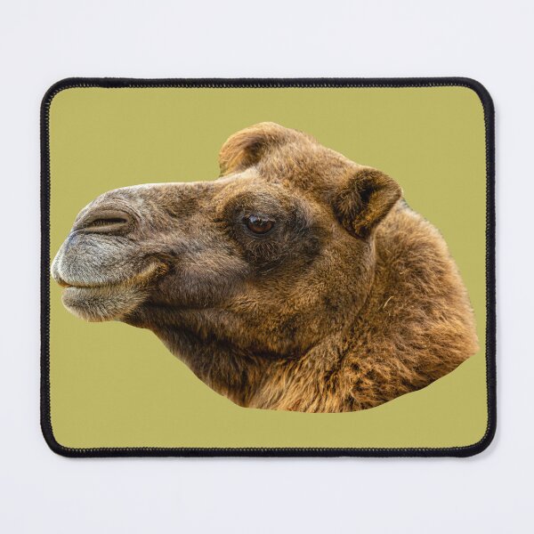 Item preview, Camel designed and sold by Dalyndigital Photography.