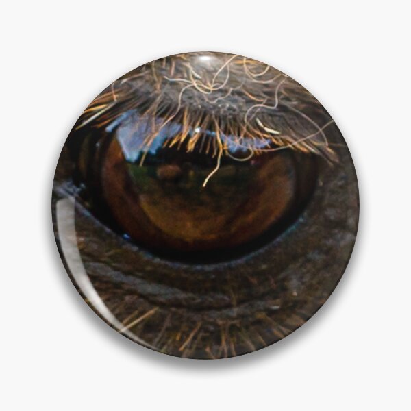 Item preview, Camel designed and sold by Dalyndigital Photography.