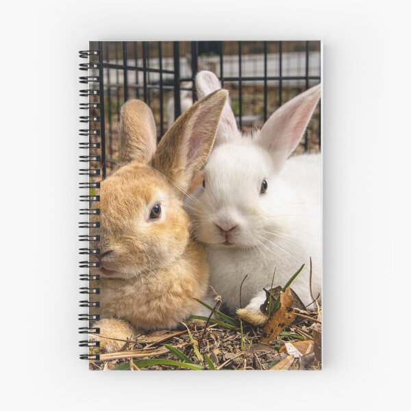 Item preview, Bunny Love designed and sold by ValueEveryThing.
