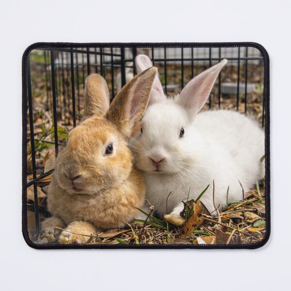 Item preview, Bunny Love designed and sold by ValueEveryThing.