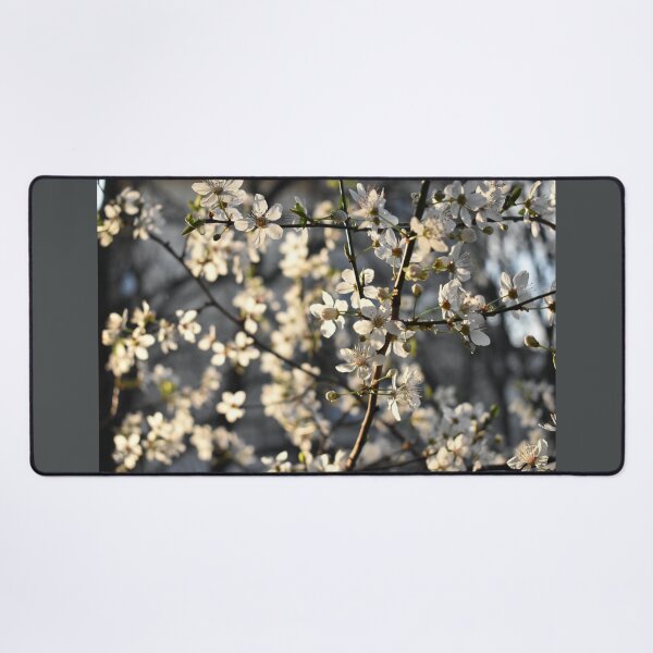 Item preview, White cherry blossom spring theme designed and sold by mariya-ivanova.