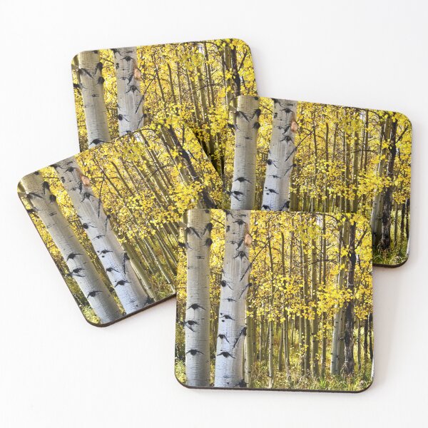 Item preview, Aspen Trunks in Fall  designed and sold by schesnut.