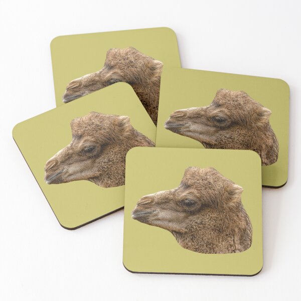 Item preview, Bactrian Camel Calf designed and sold by Dalyndigital Photography.