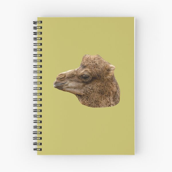 Item preview, Bactrian Camel Calf designed and sold by Dalyndigital Photography.