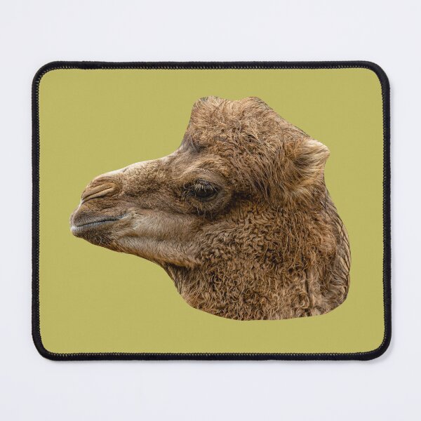 Item preview, Bactrian Camel Calf designed and sold by Dalyndigital Photography.