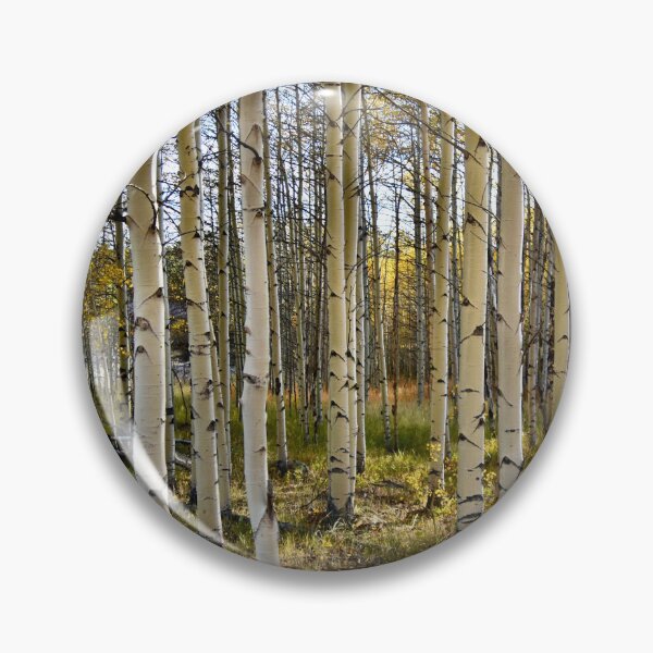 Item preview, Fall Aspen Group  designed and sold by schesnut.