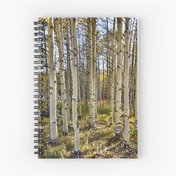 Item preview, Fall Aspen Group  designed and sold by schesnut.