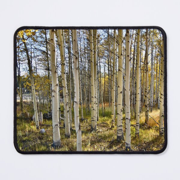 Item preview, Fall Aspen Group designed and sold by schesnut.