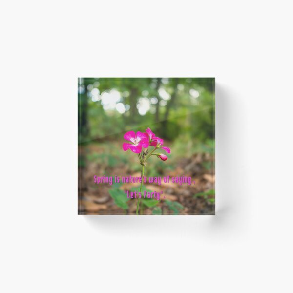 Item preview, Spring time Party time designed and sold by santoshputhran.